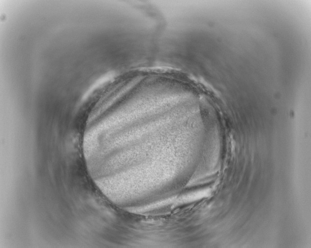 X0000088891351200706221829