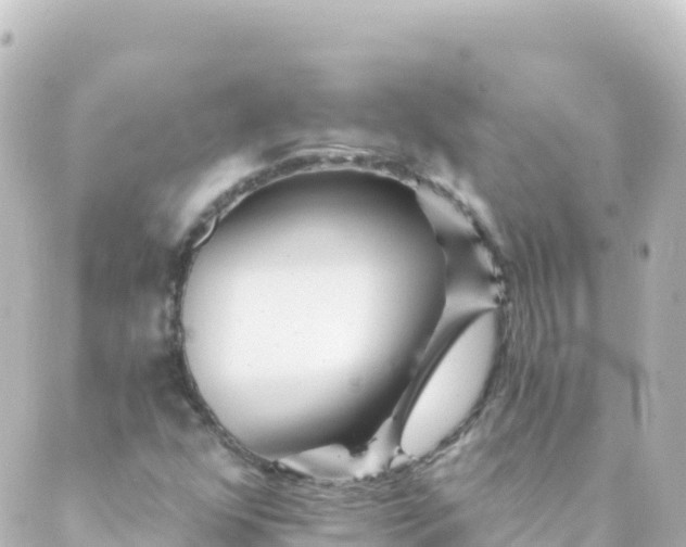 X0000088891352200706221829