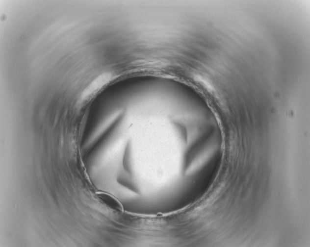 X0000088891354200706221829