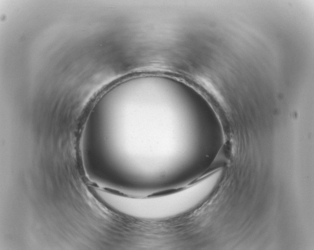 X0000088891356200706221829