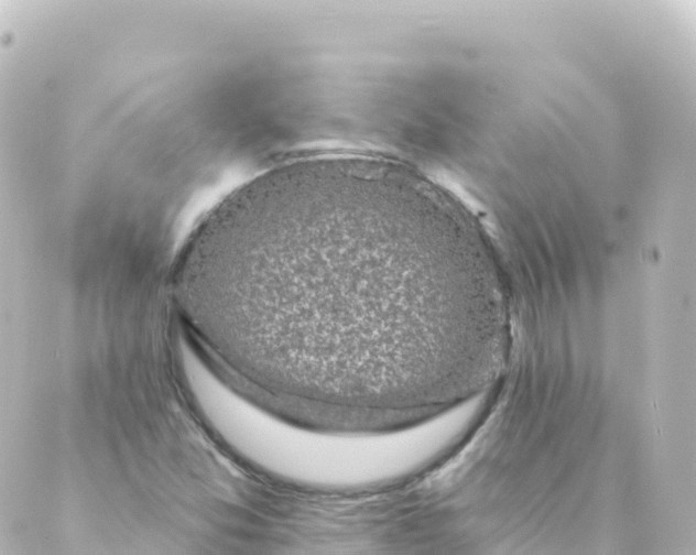 X0000088891357200706221829