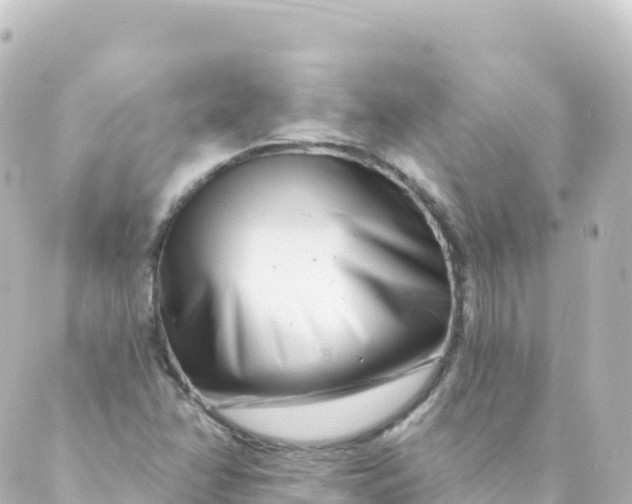 X0000088891358200706221829