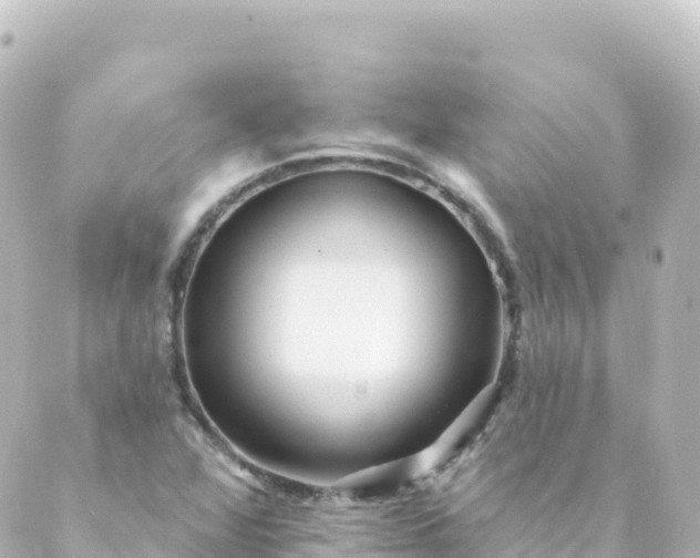 X0000088891360200706221829