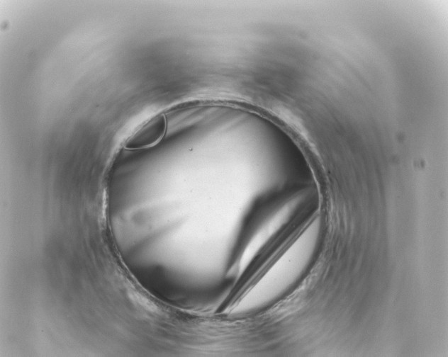 X0000088891366200706221829