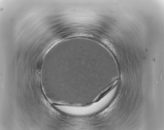 X0000088891369200706221829