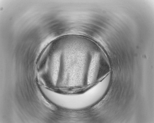 X0000088891371200706221829