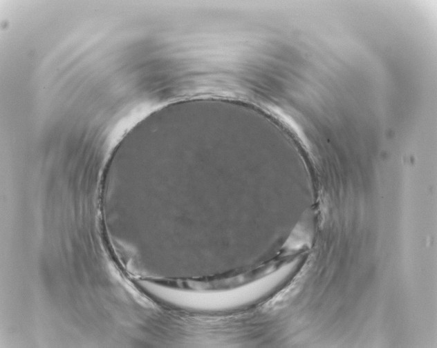 X0000088891373200706221829