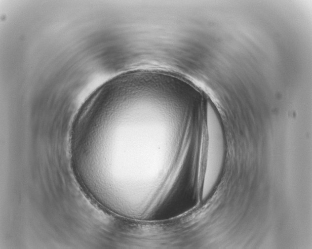 X0000088891375200706221829