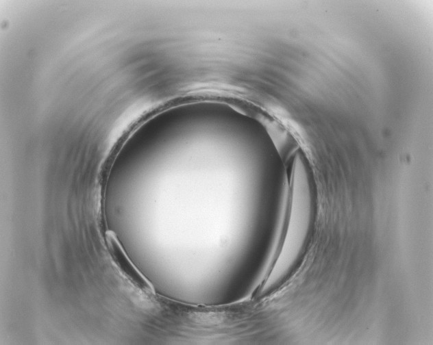 X0000088891376200706221829