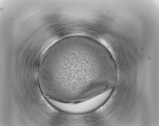 X0000088891377200706221829