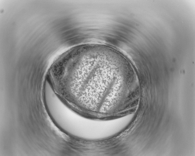 X0000088891379200706221829