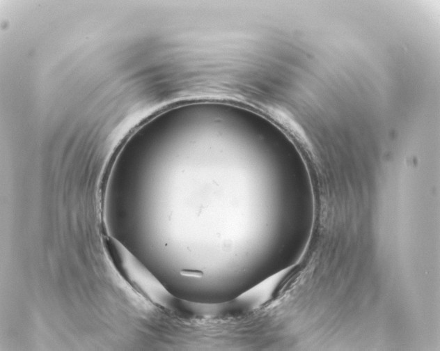 X0000088891380200706221829