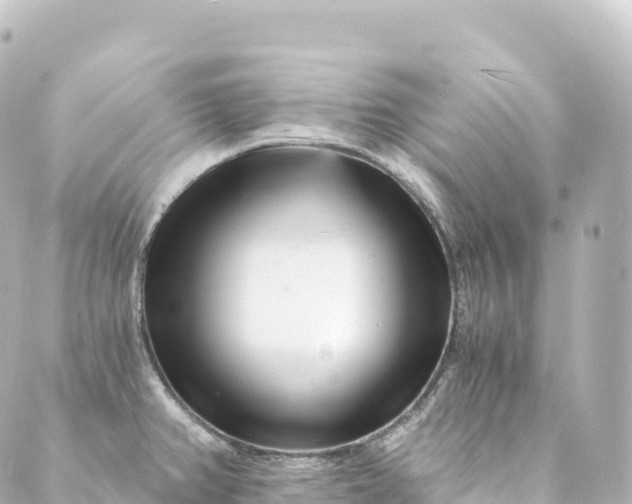 X0000088891382200706221829