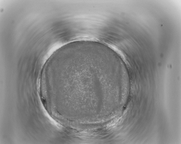 X0000088891383200706221829