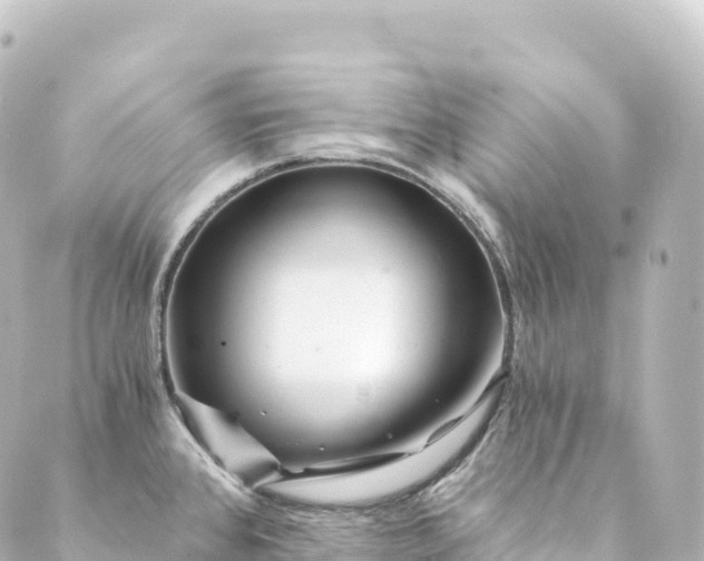 X0000088891384200706221829