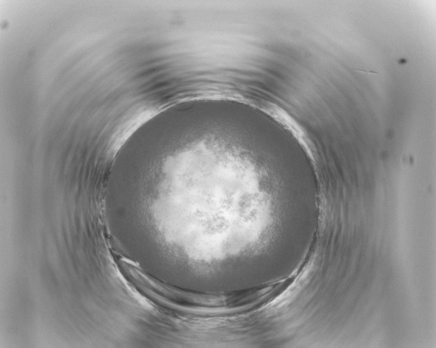 X0000088891385200706221829