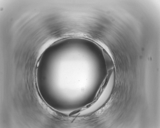 X0000088891389200706221829