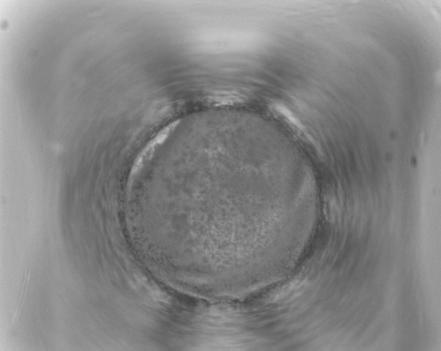 X0000088891393200706221828