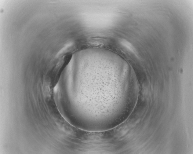 X0000088891394200706221828