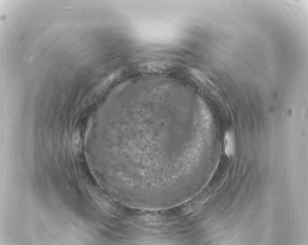 X0000088891395200706221828