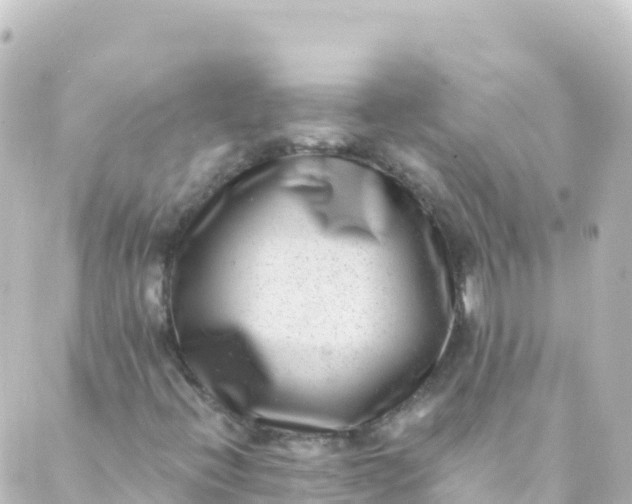 X0000088891396200706221828