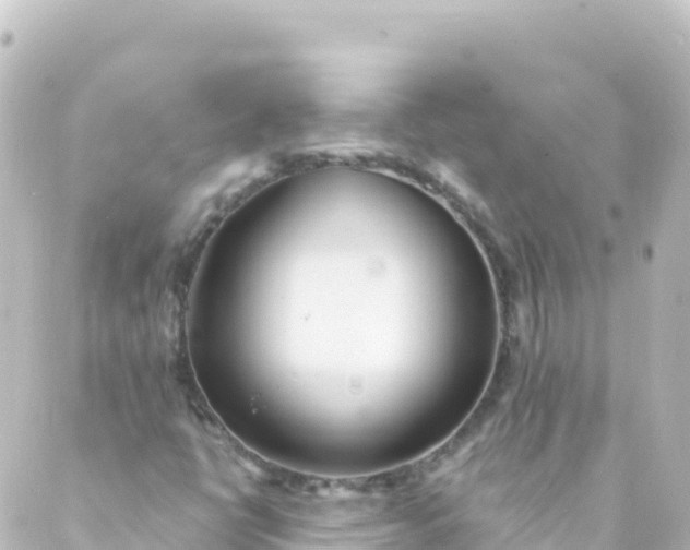 X0000088891398200706221828