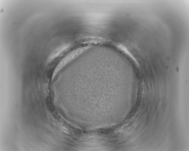 X0000088891399200706221828