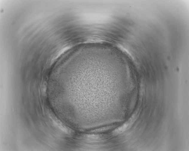 X0000088891401200706221828