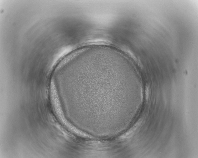 X0000088891405200706221828