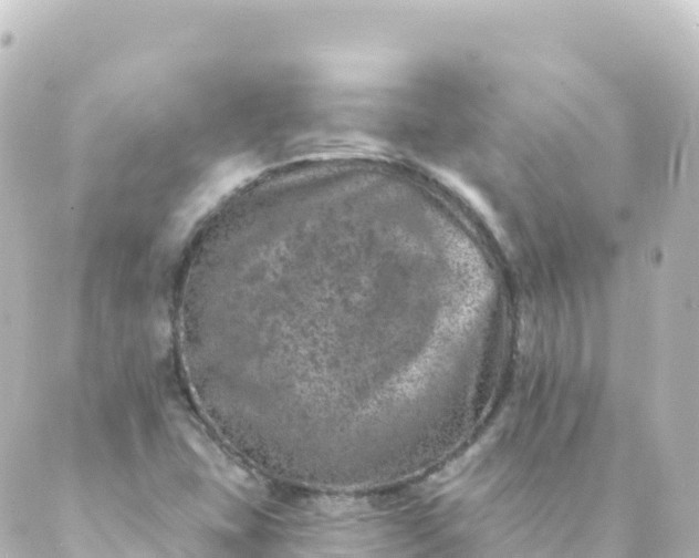 X0000088891407200706221828