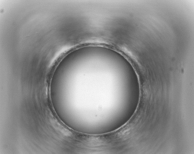 X0000088891408200706221828