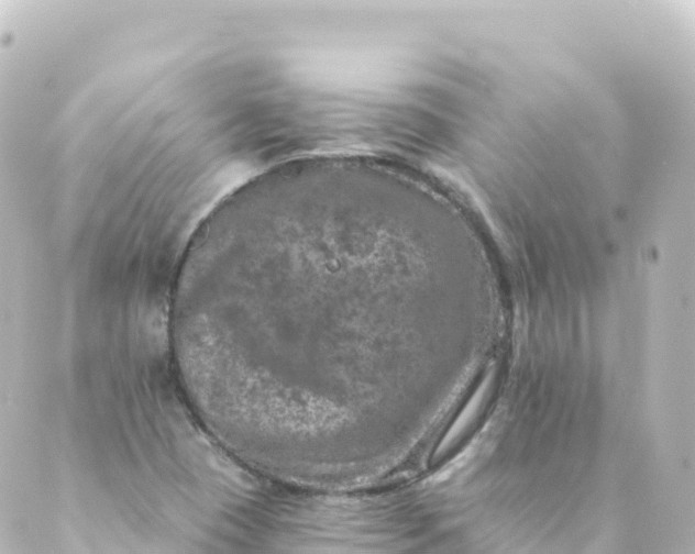 X0000088891409200706221828