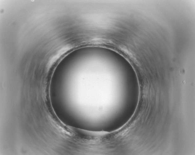 X0000088891410200706221828