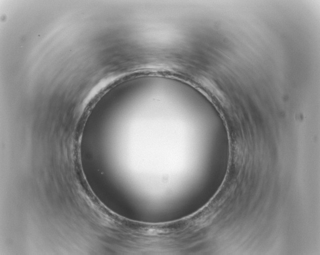 X0000088891412200706221828