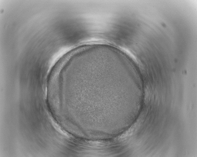 X0000088891413200706221828