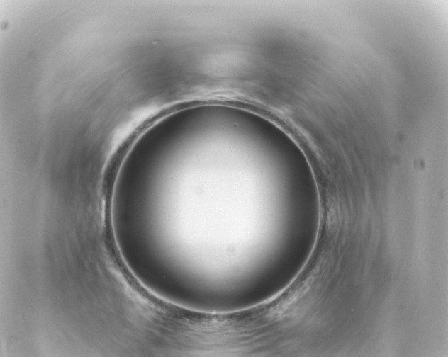 X0000088891414200706221828