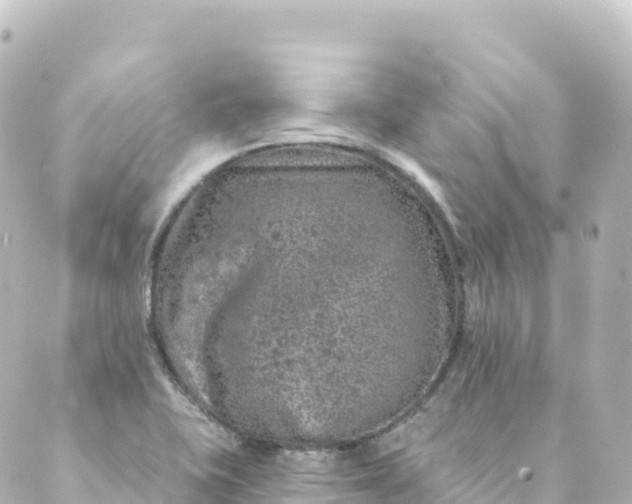 X0000088891415200706221828