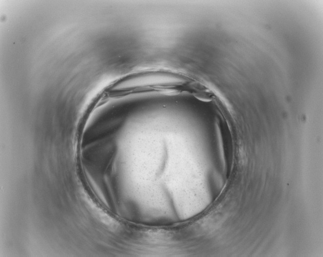 X0000088891416200706221828