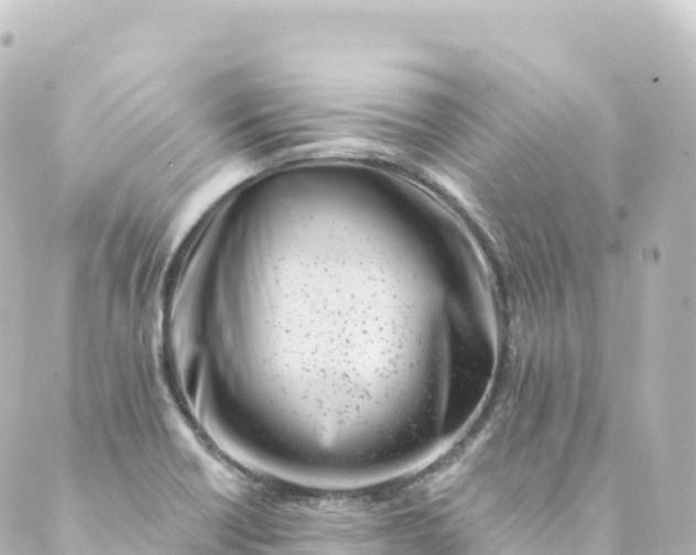 X0000088891418200706221828