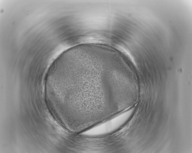 X0000088891419200706221828