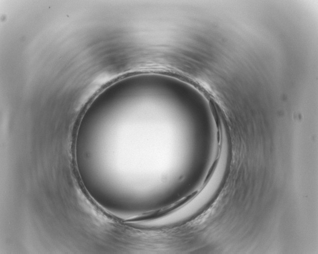 X0000088891422200706221829