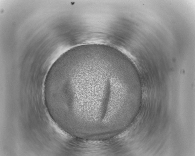 X0000088891423200706221829