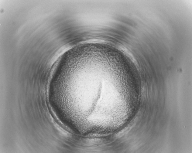 X0000088891425200706221829