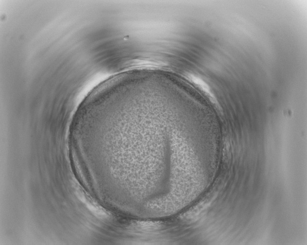 X0000088891427200706221829