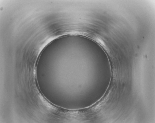 X0000088891428200706221829