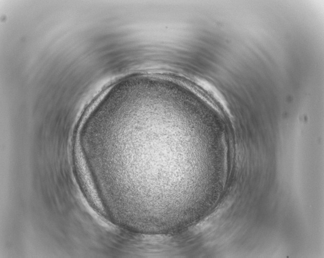 X0000088891429200706221829