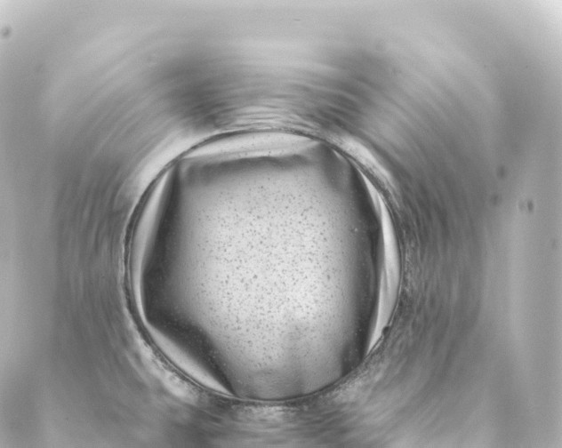 X0000088891431200706221829