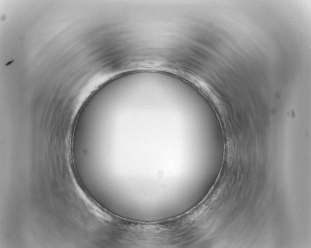 X0000088891432200706221829