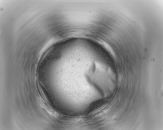 X0000088891435200706221829