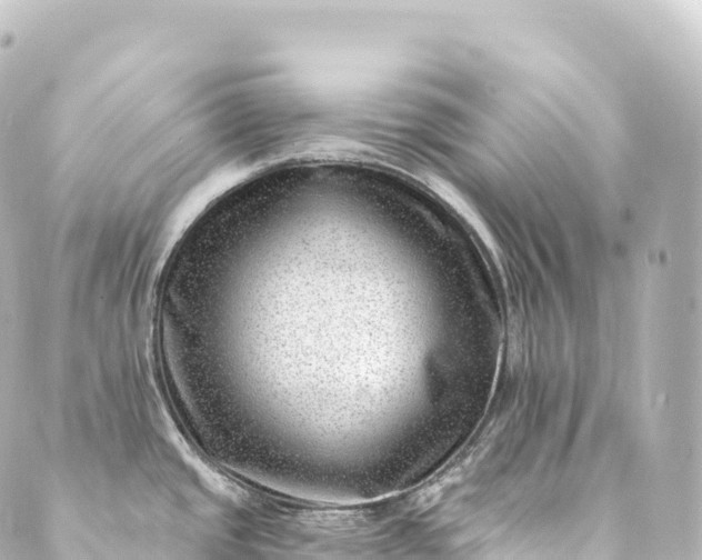 X0000088891437200706221829